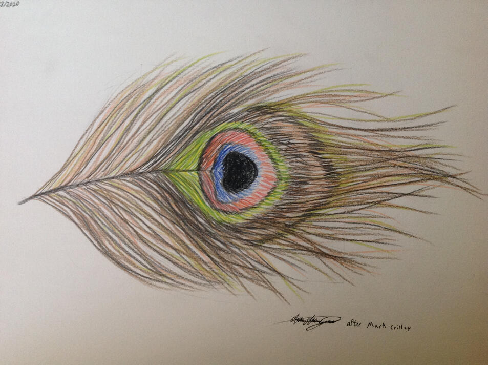 Untitled Untitled